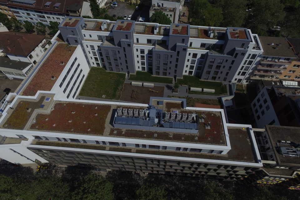 WLH Unternehmensberatung, Sedan Carré